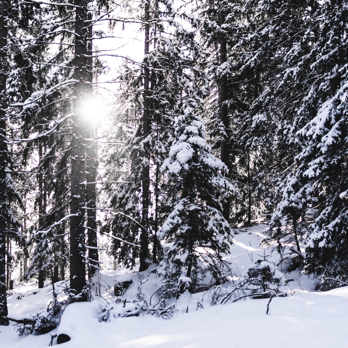 Weihnachten - Betriebsurlaub